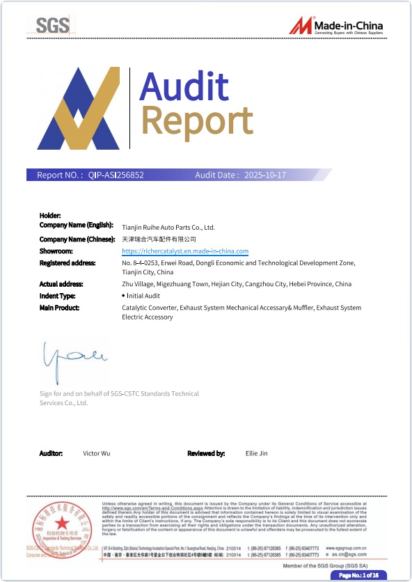 New SGS Audit report.jpg